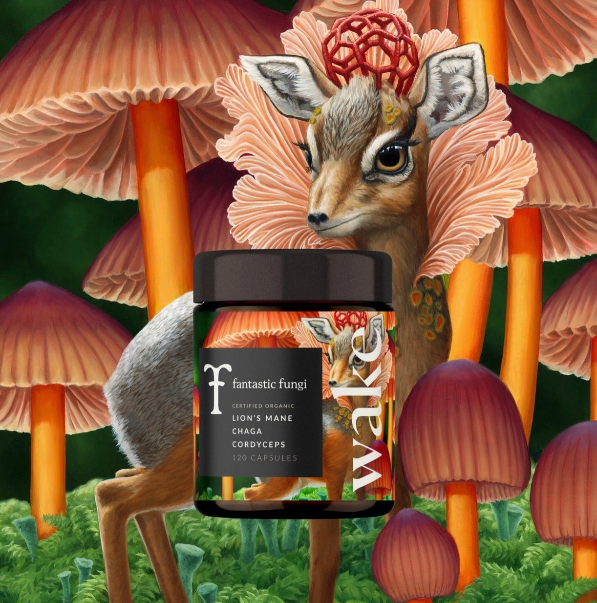 Supplements