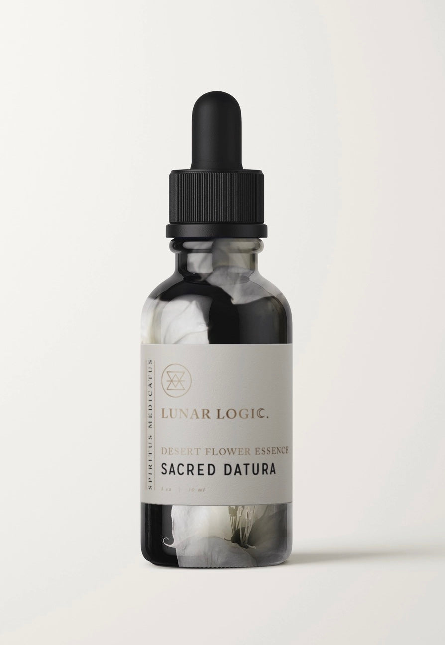 Sacred Datura / Flower Essence For Expansion