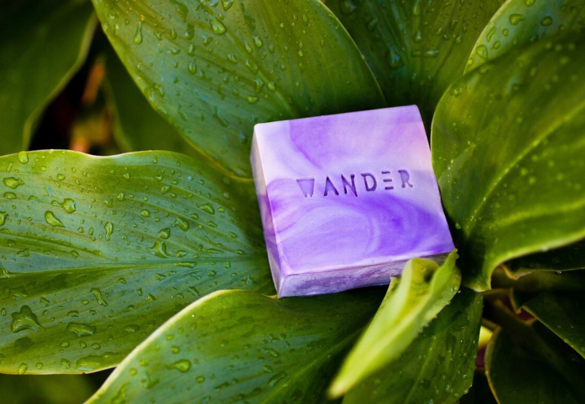 Lilikoi Organic Soap