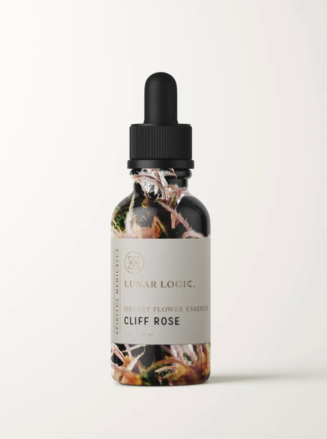 Cliff Rose / Flower Essence for Manifestation