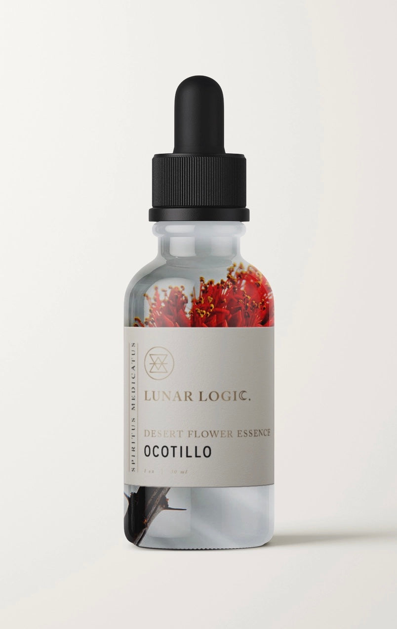 Ocotillo / Flower Essence For Loving Support