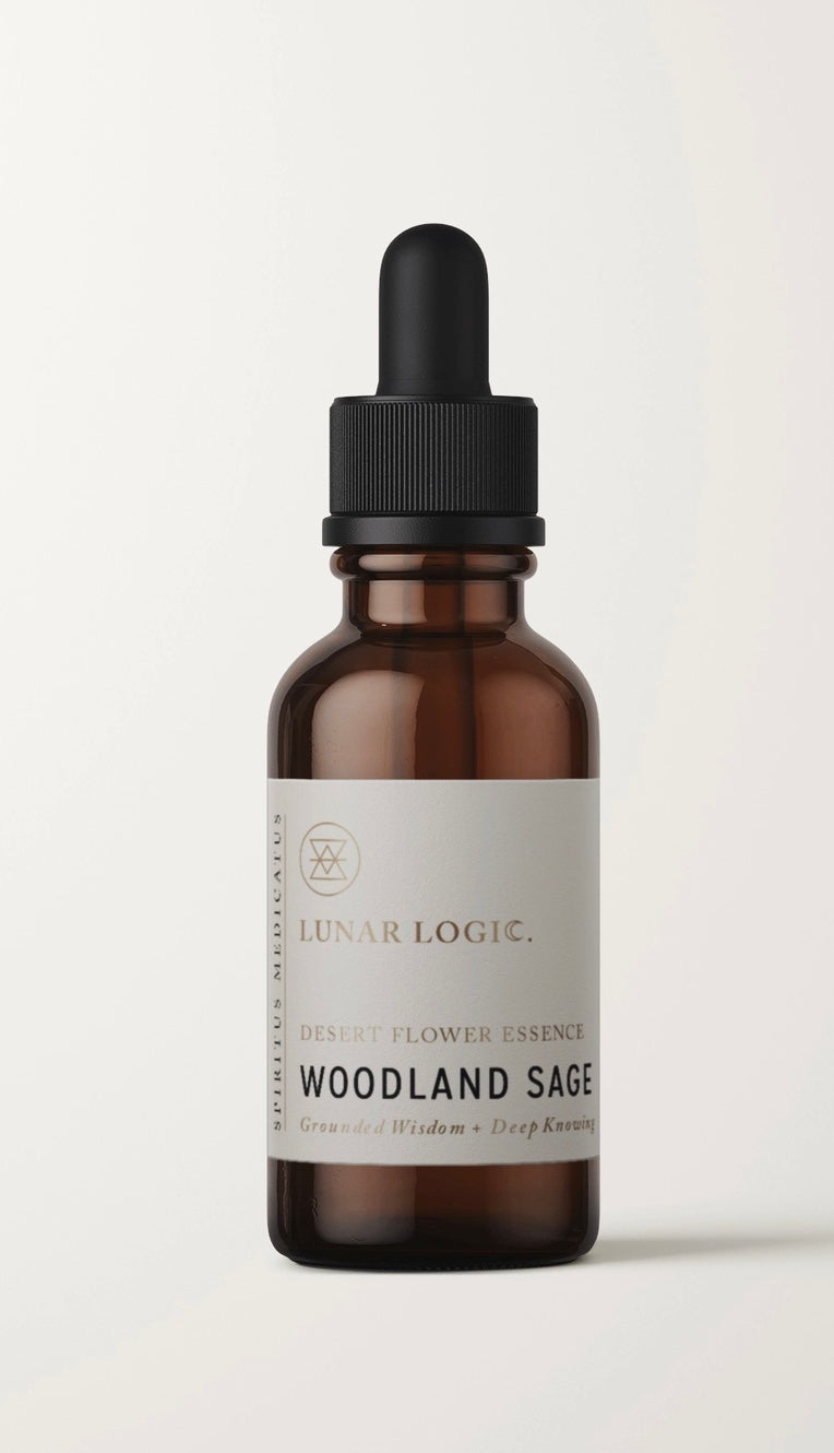 Woodland Sage / Flower Essence for Grounded Wisdom