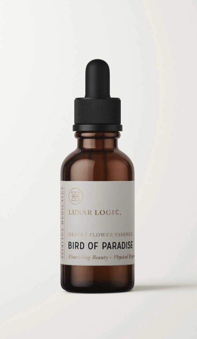 Bird of Paradise / Vibrational Essence for FlourishingBeauty