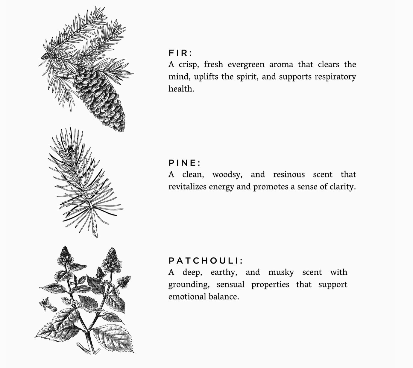 Forest Bathing (Fir, Patchouli, Pine) Non-Toxic Candle