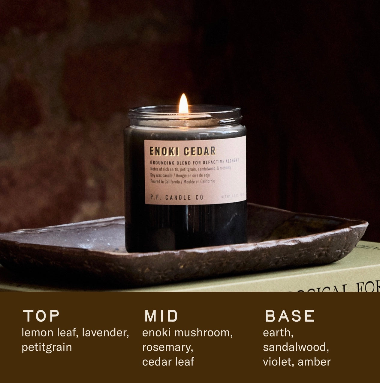 Enoki Cedar - 7.2 oz Alchemy Soy Candle