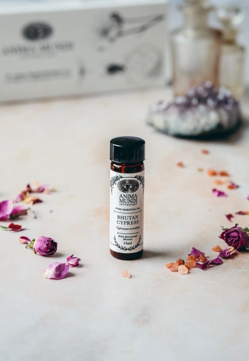Bhutan Cypress Organic Essential Oil | Wildcrafted
