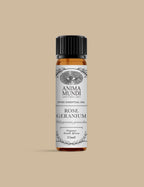 Rose Geranium Organic Essential Oil