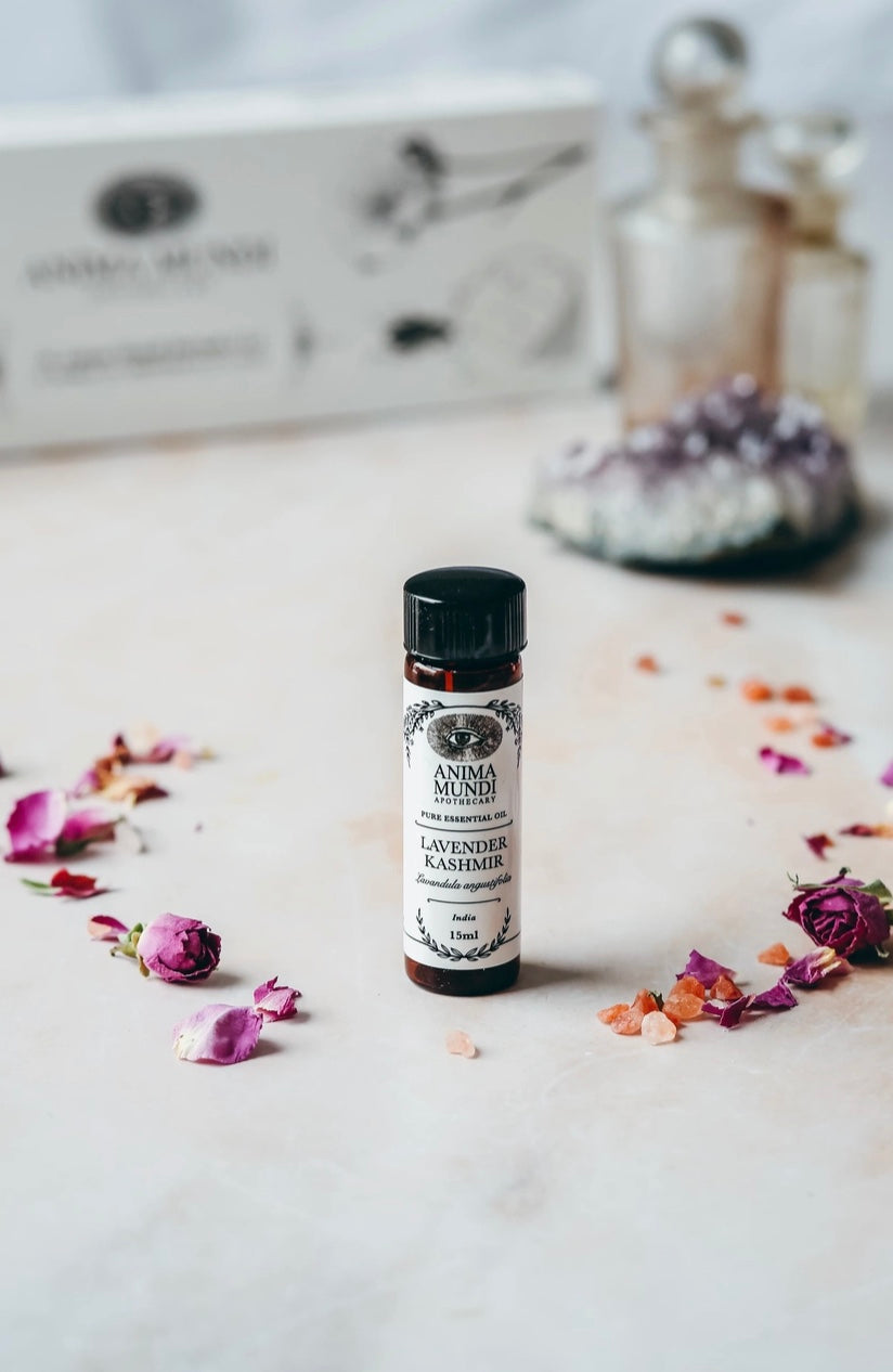 Lavender Kashmir Essential Oil | Sustainably Cultivated