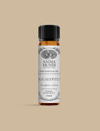 Eucalyptus Organic Essential Oil