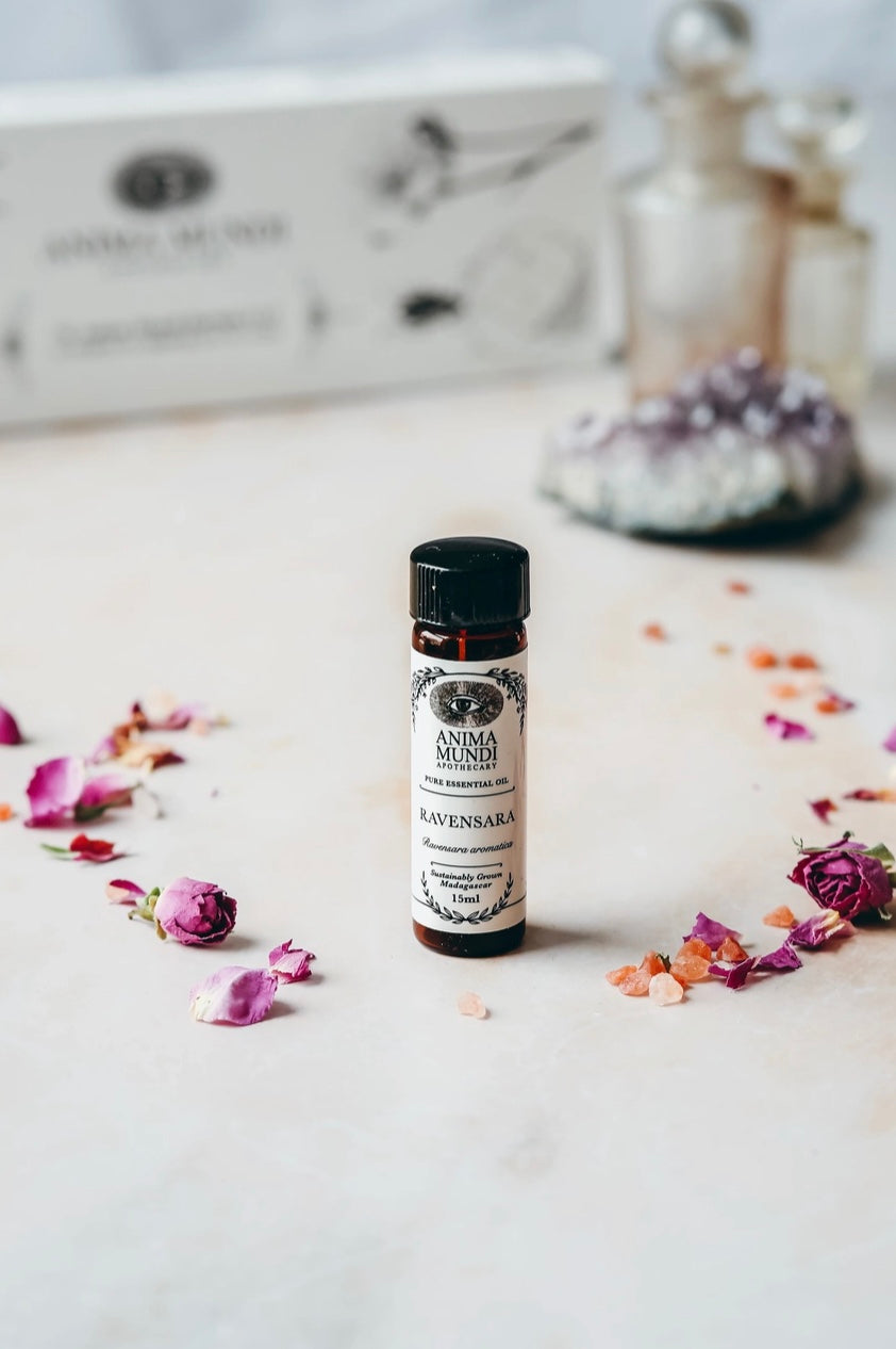 Ravensara Essential Oil | Sustainably Cultivated