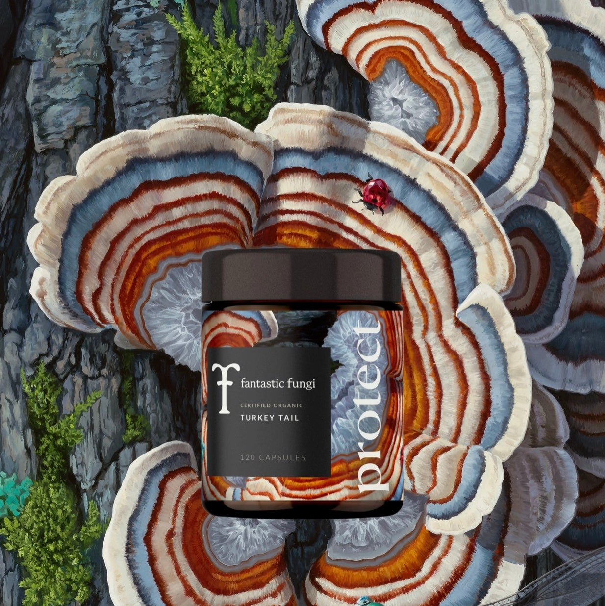 Protect Capsules