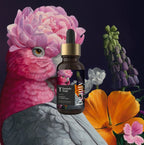 Beauty Elixir