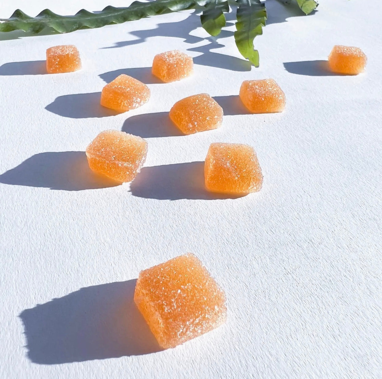 Motivate Mushroom Gummies / 5 Piece