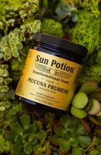 Mucuna Pruriens Powder (Organic)