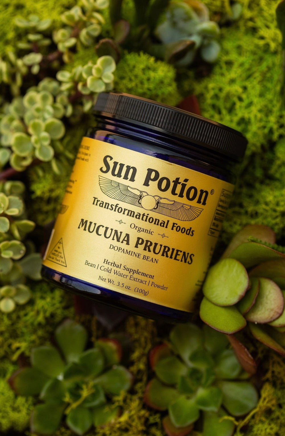 Mucuna Pruriens Powder (Organic)