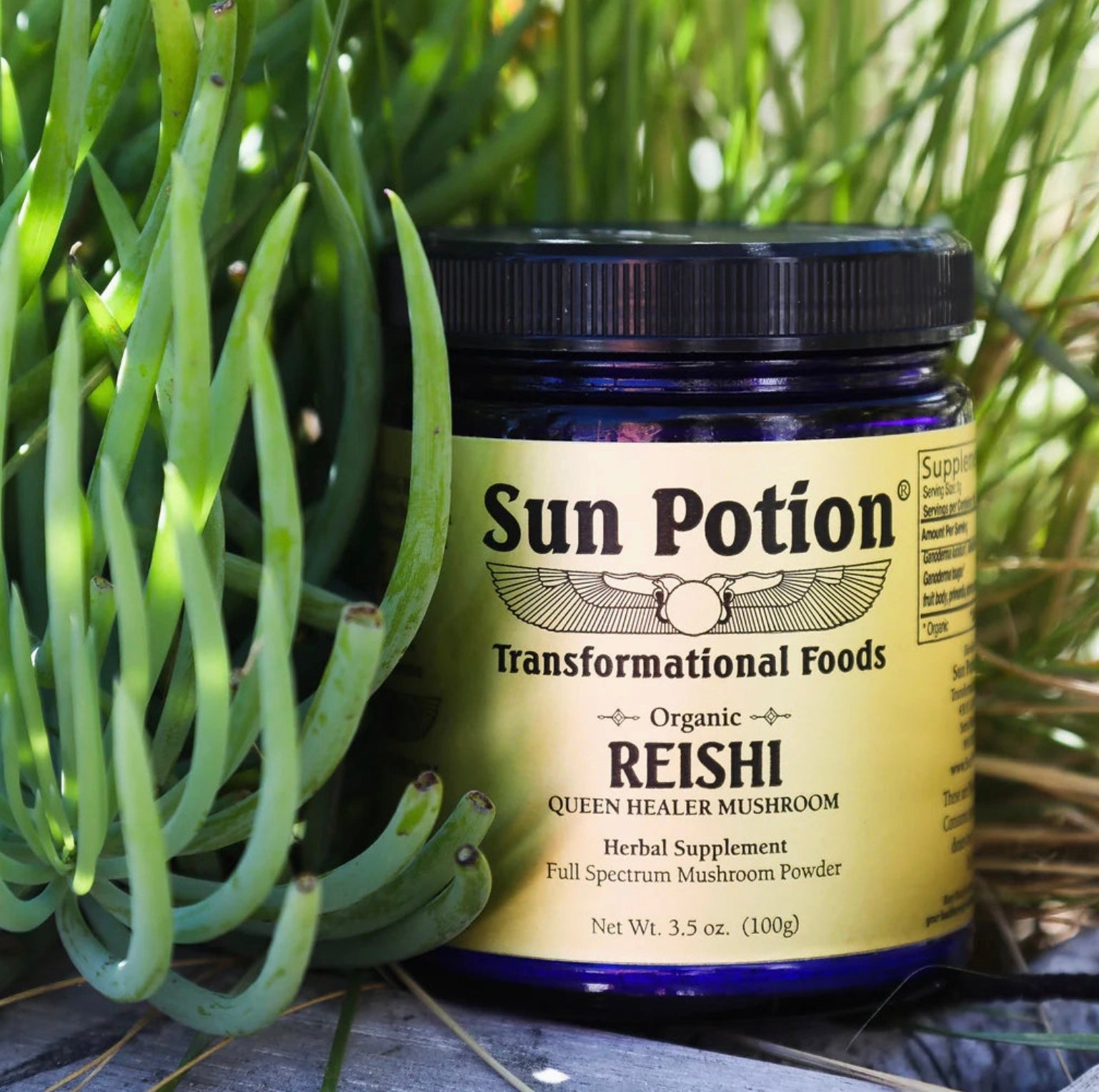 Reishi Mushroom Powder (Organic)