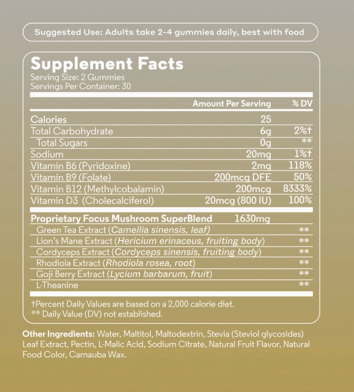 Focus Mushroom Gummy Delights