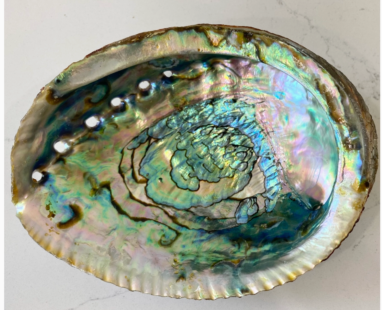 Abalone Shell Smudge Bowls