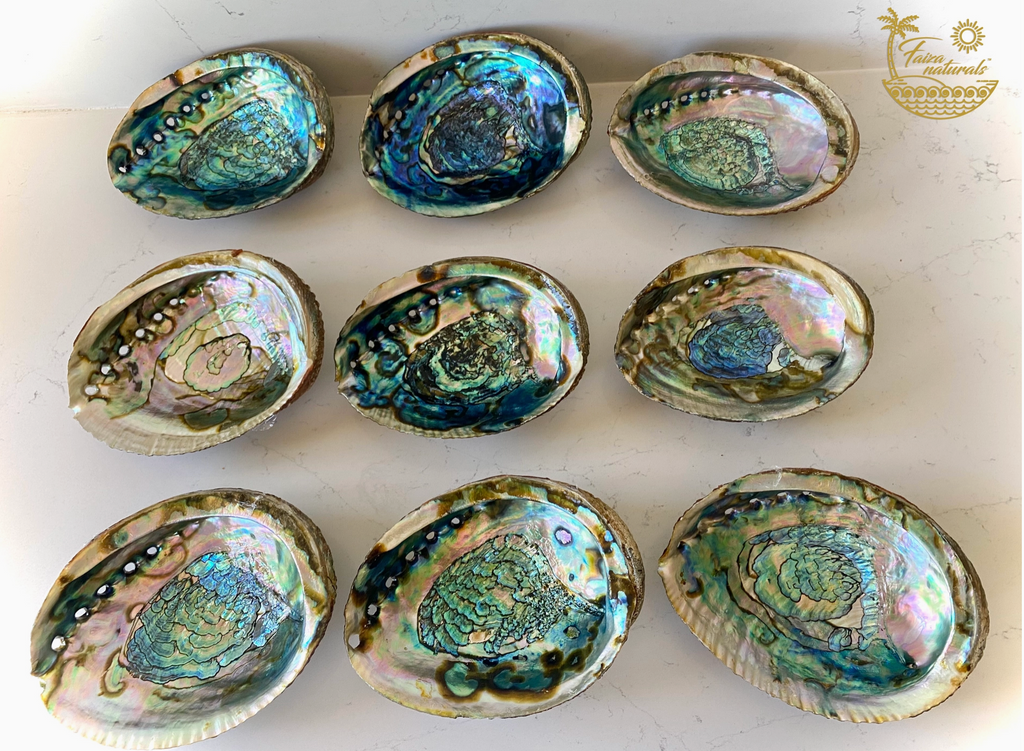 Abalone Shell Smudge Bowls