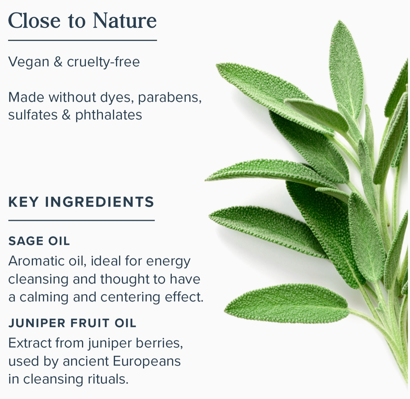 Aura Smudge Smokeless Sage with Juniper Spray