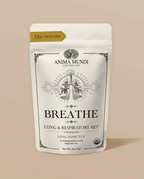 BREATHE Tea | Organic Lung Tonic